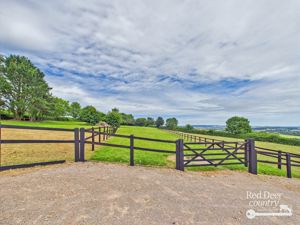 Paddocks- click for photo gallery
